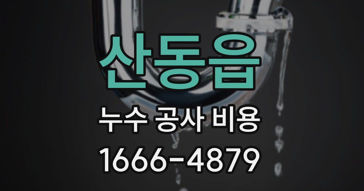 산동읍 누수 공사 비용