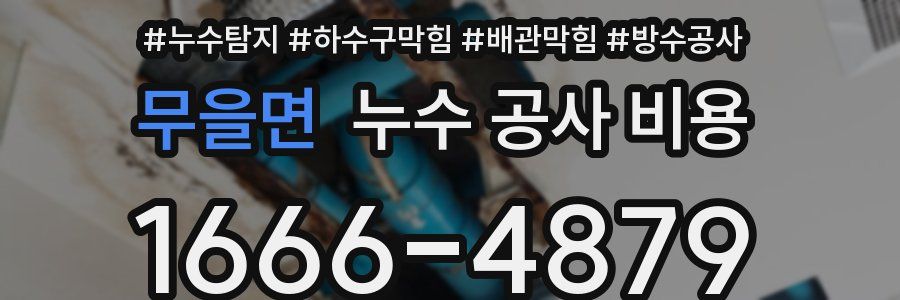무을면 누수 공사 비용