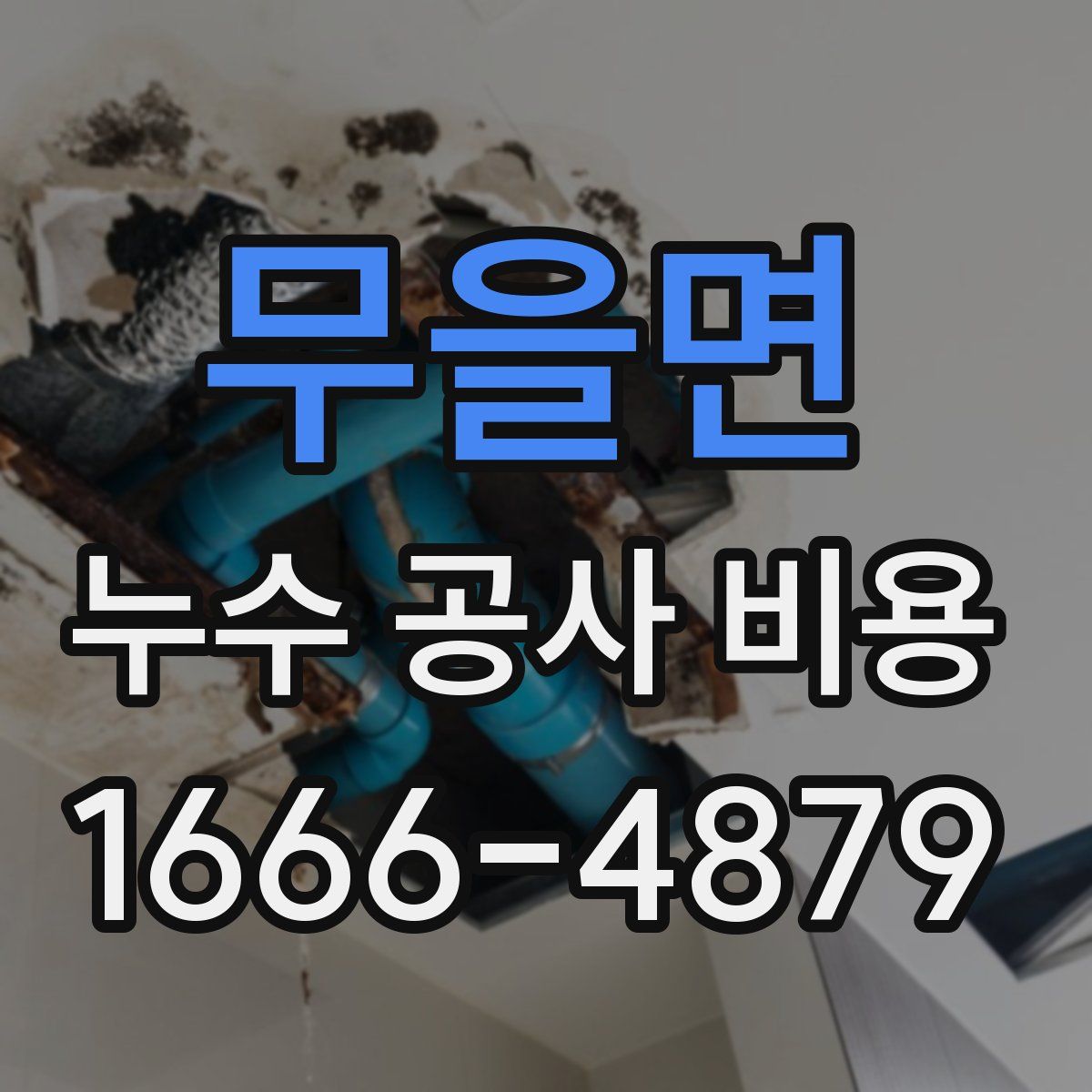 무을면 누수 공사 비용