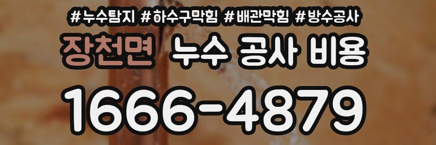 장천면 누수 공사 비용