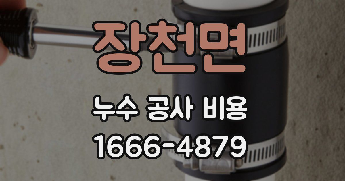 장천면 누수 공사 비용