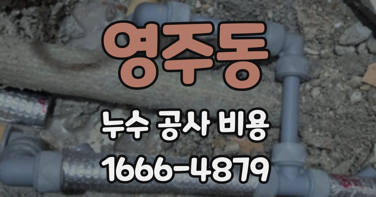 영주동 누수 공사 비용