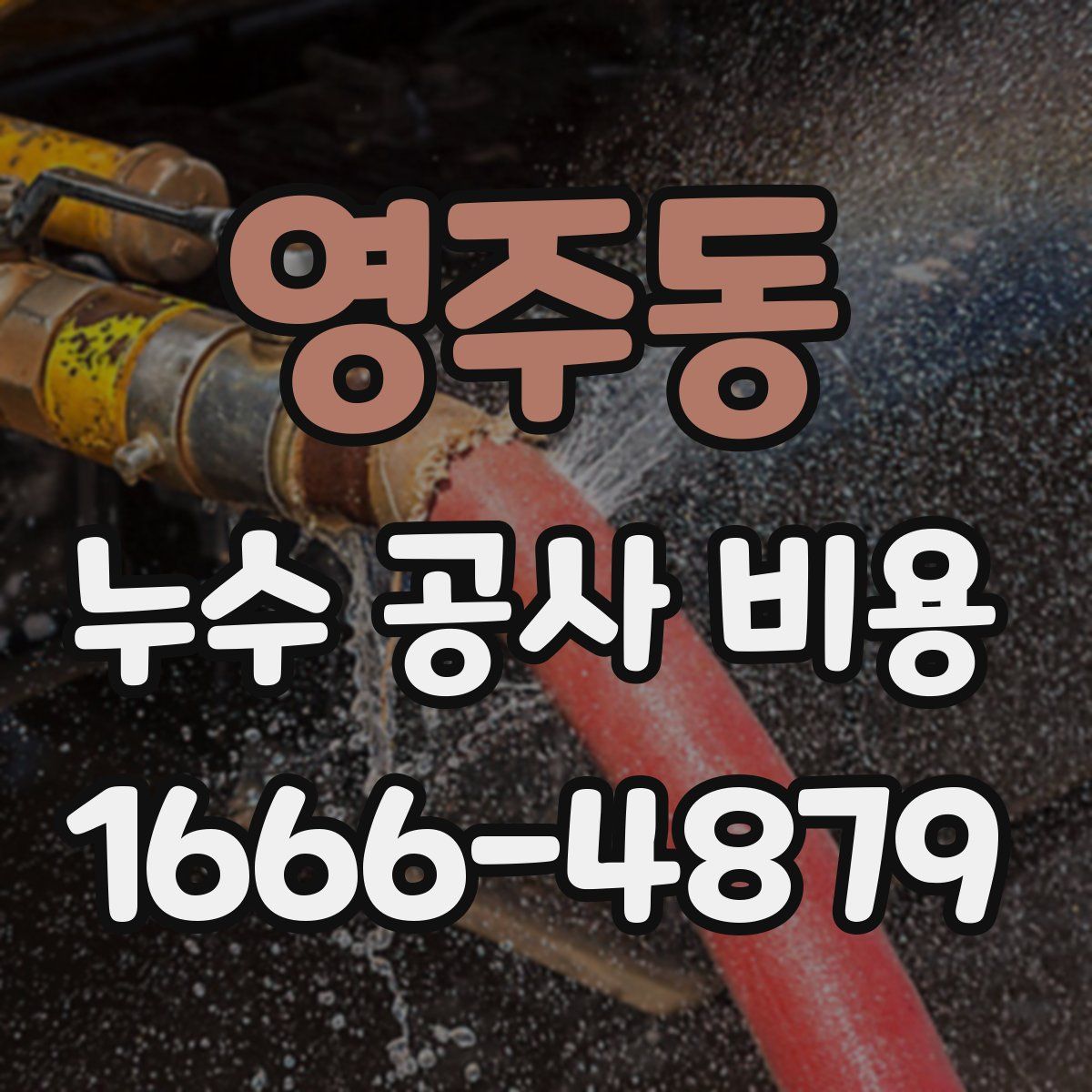영주동 누수 공사 비용