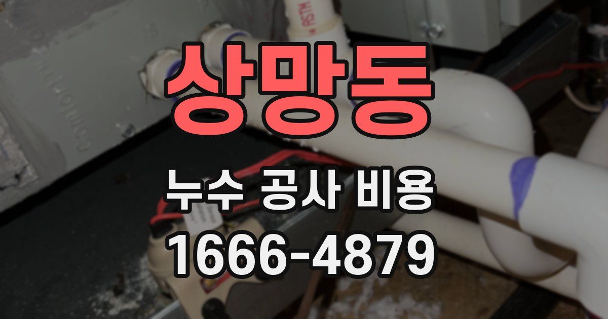 상망동 누수 공사 비용