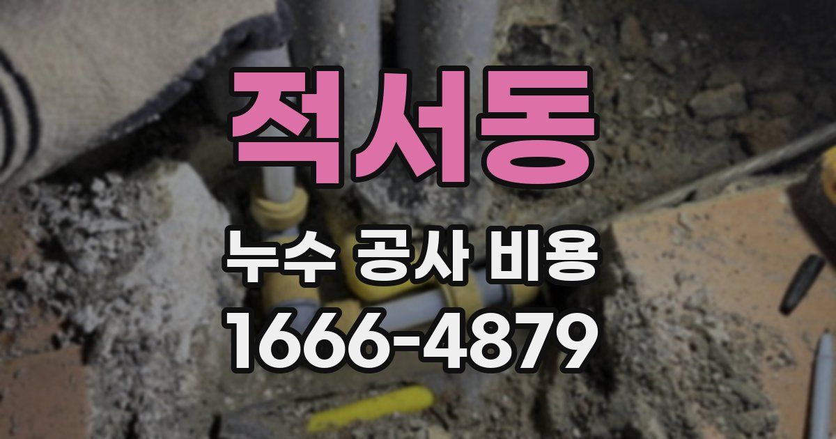 적서동 누수 공사 비용