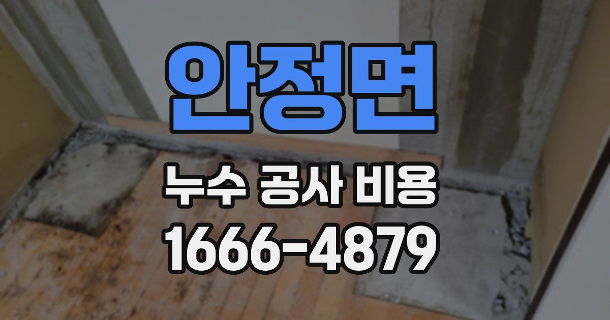 안정면 누수 공사 비용