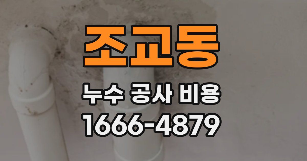 조교동 누수 공사 비용