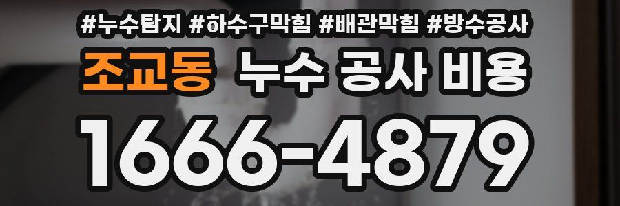 조교동 누수 공사 비용