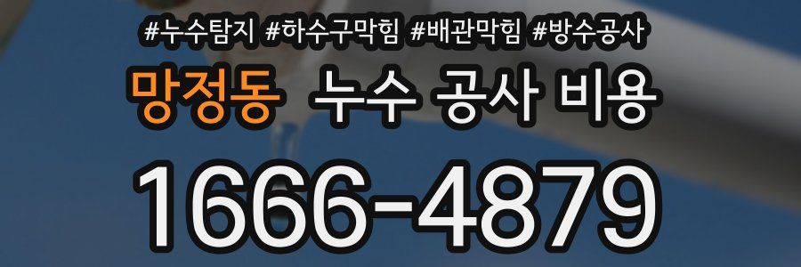 망정동 누수 공사 비용