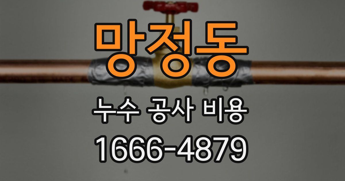망정동 누수 공사 비용