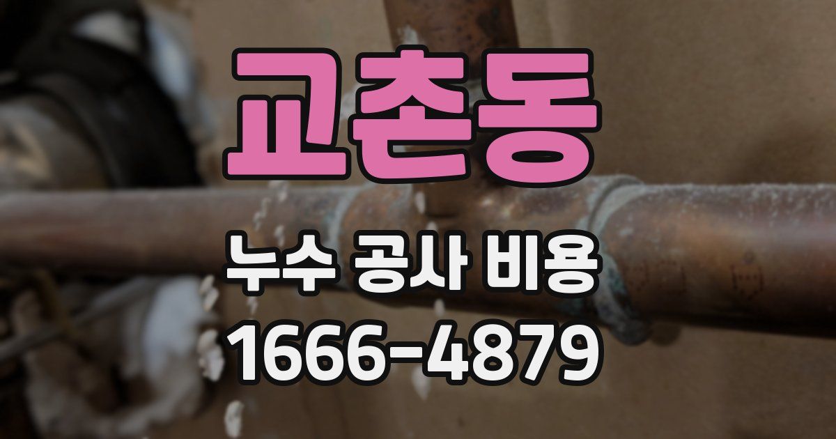 교촌동 누수 공사 비용
