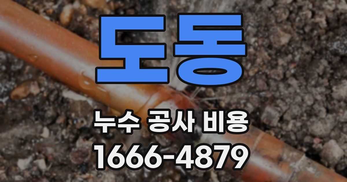 도동 누수 공사 비용