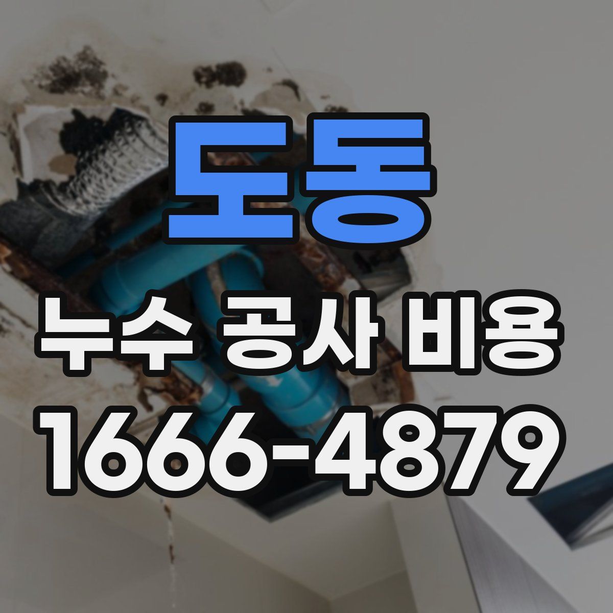 도동 누수 공사 비용