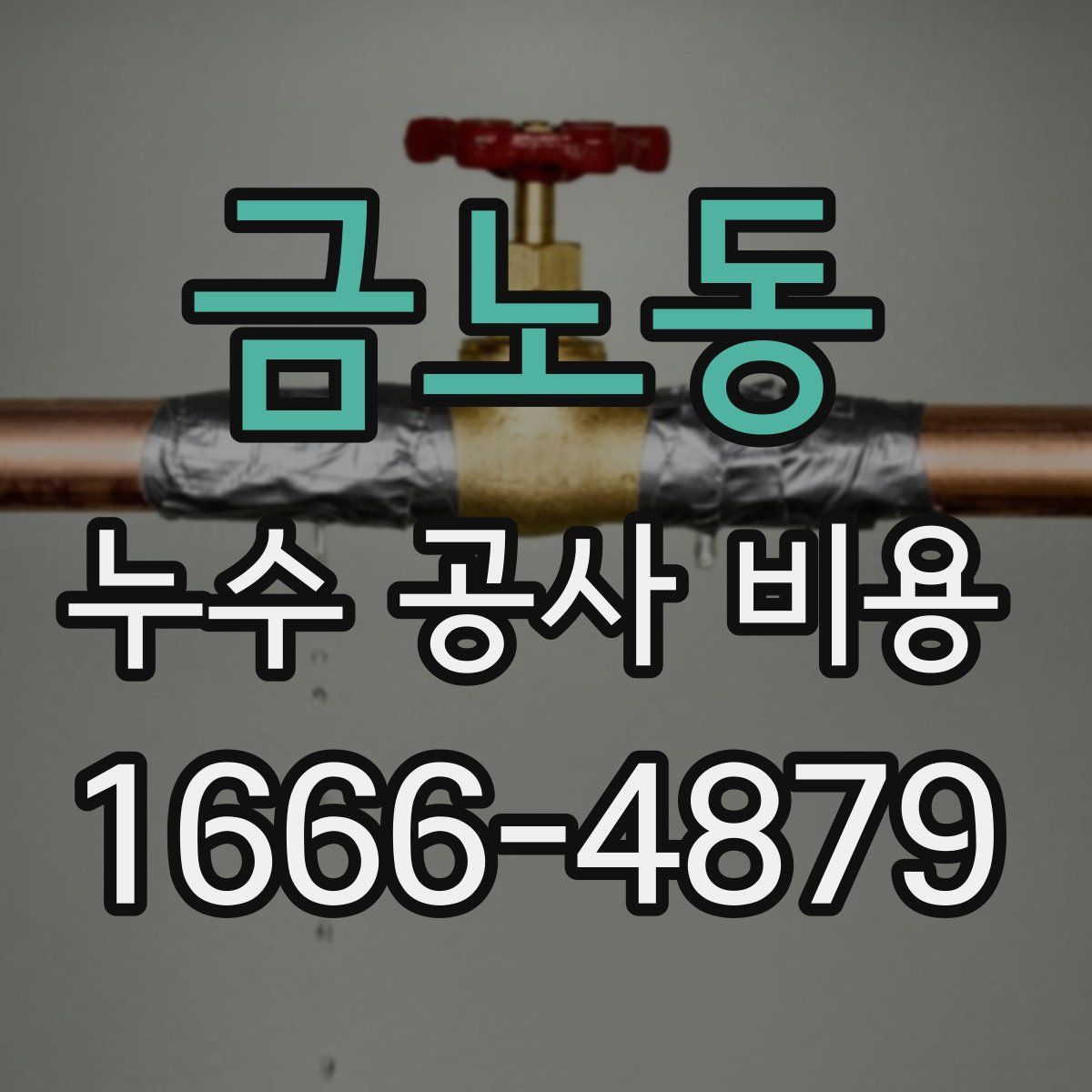금노동 누수 공사 비용