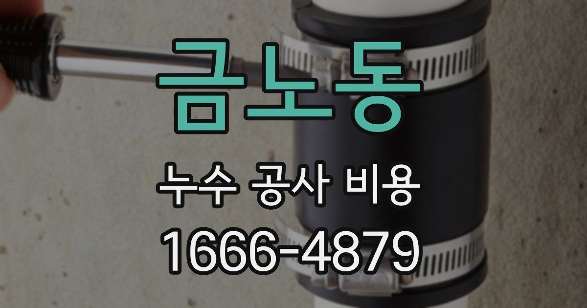 금노동 누수 공사 비용