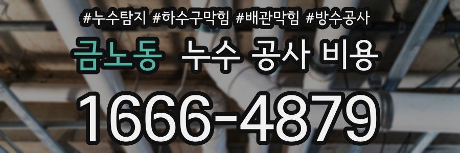금노동 누수 공사 비용