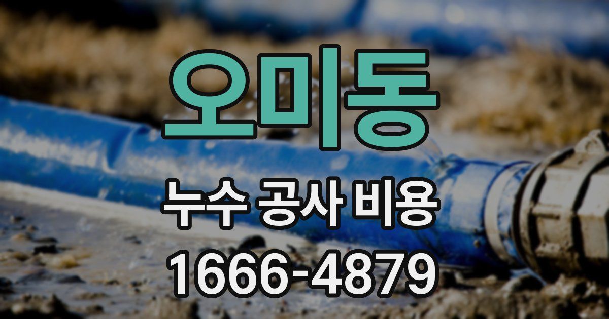 오미동 누수 공사 비용