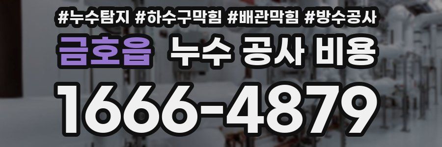 금호읍 누수 공사 비용