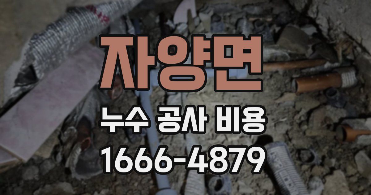 자양면 누수 공사 비용