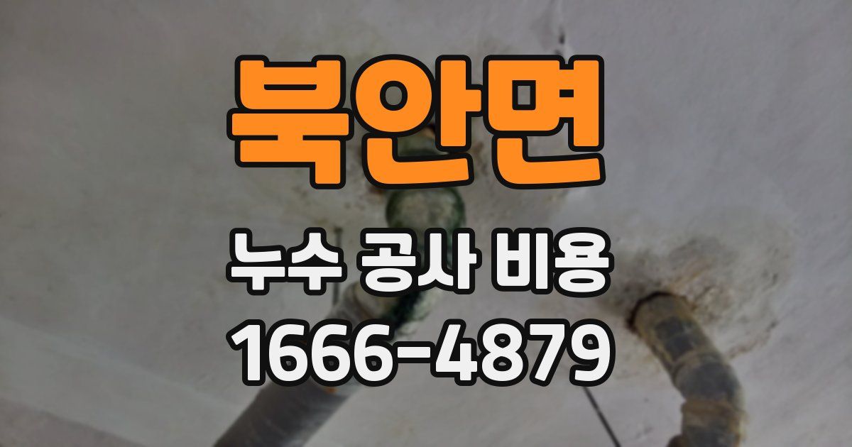 북안면 누수 공사 비용