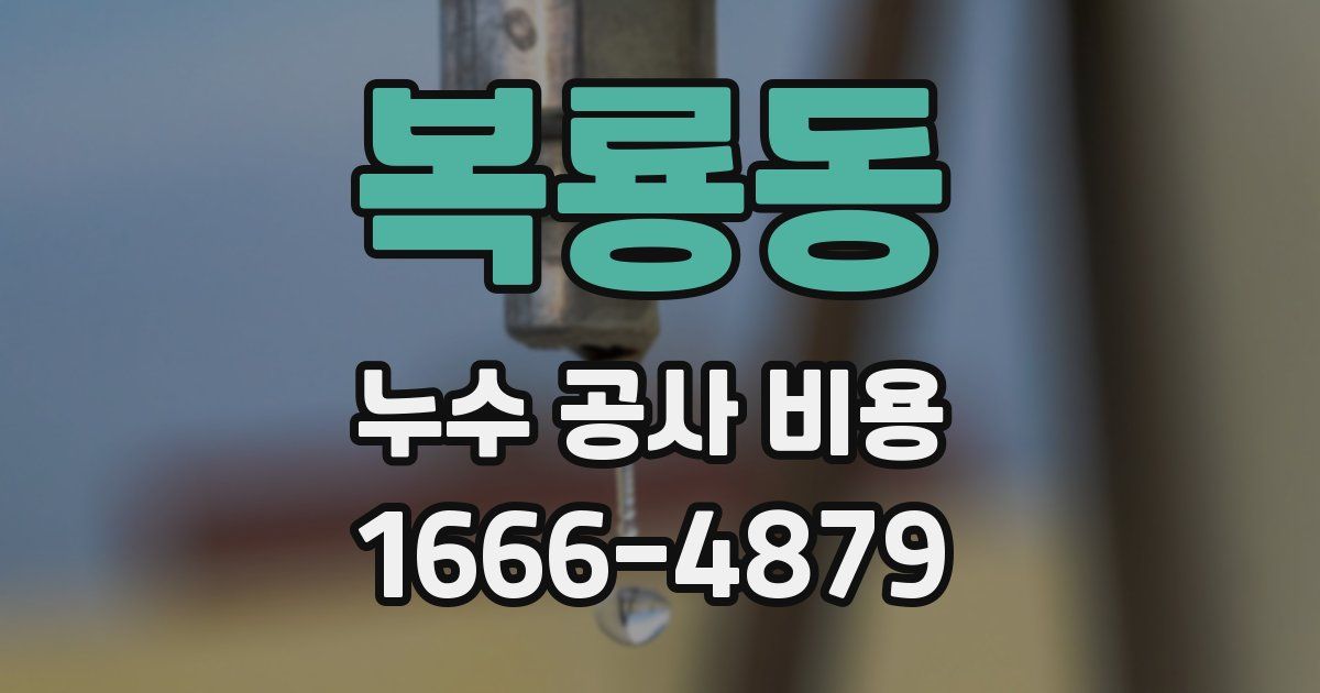 복룡동 누수 공사 비용