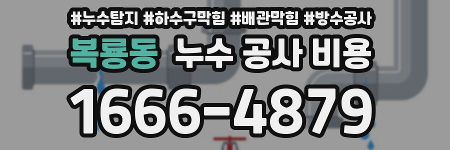 복룡동 누수 공사 비용