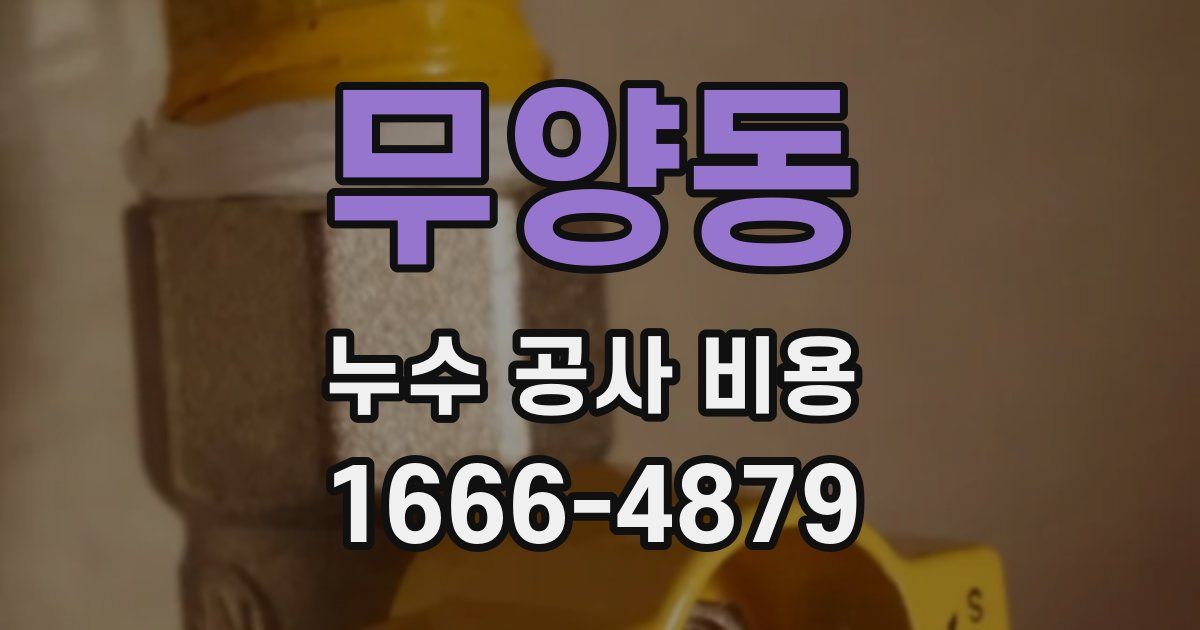 무양동 누수 공사 비용