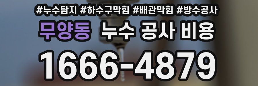 무양동 누수 공사 비용