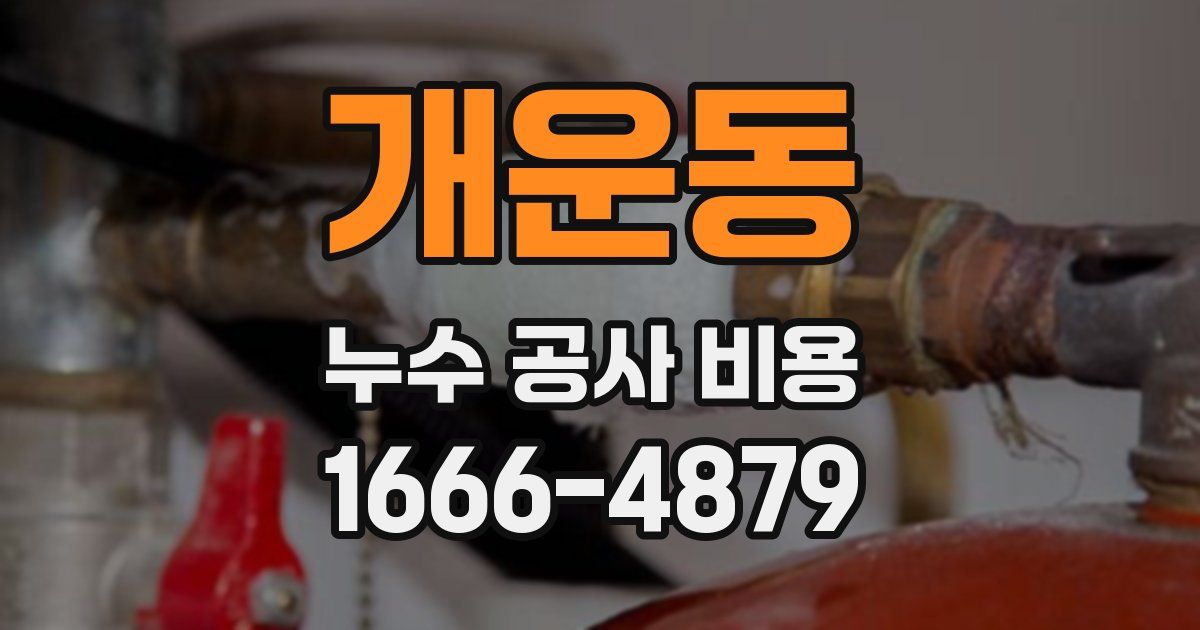개운동 누수 공사 비용
