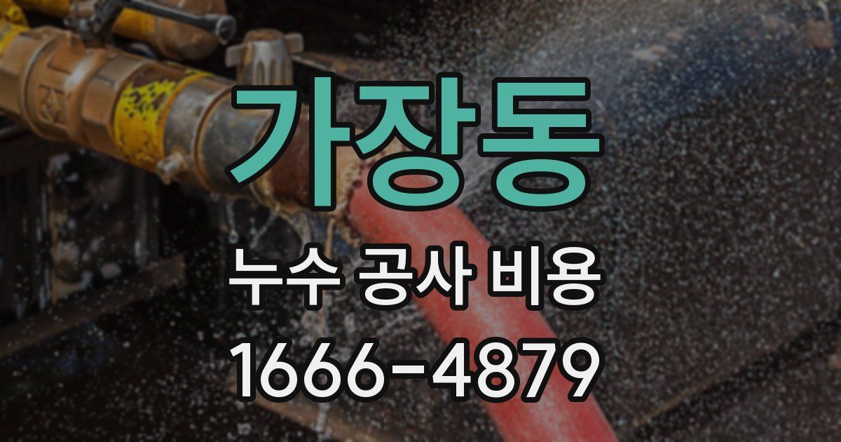 가장동 누수 공사 비용