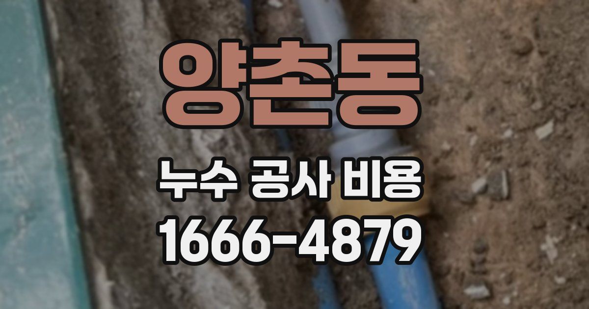 양촌동 누수 공사 비용