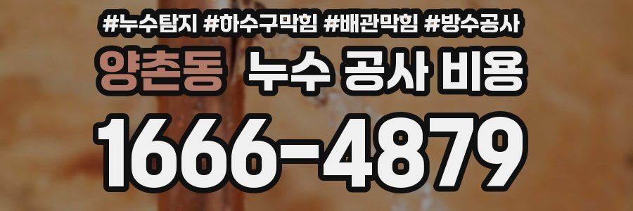 양촌동 누수 공사 비용
