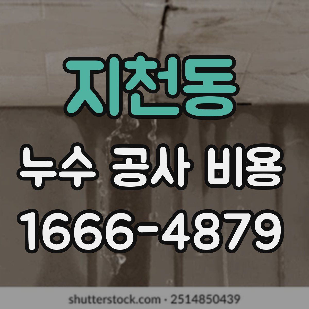 지천동 누수 공사 비용