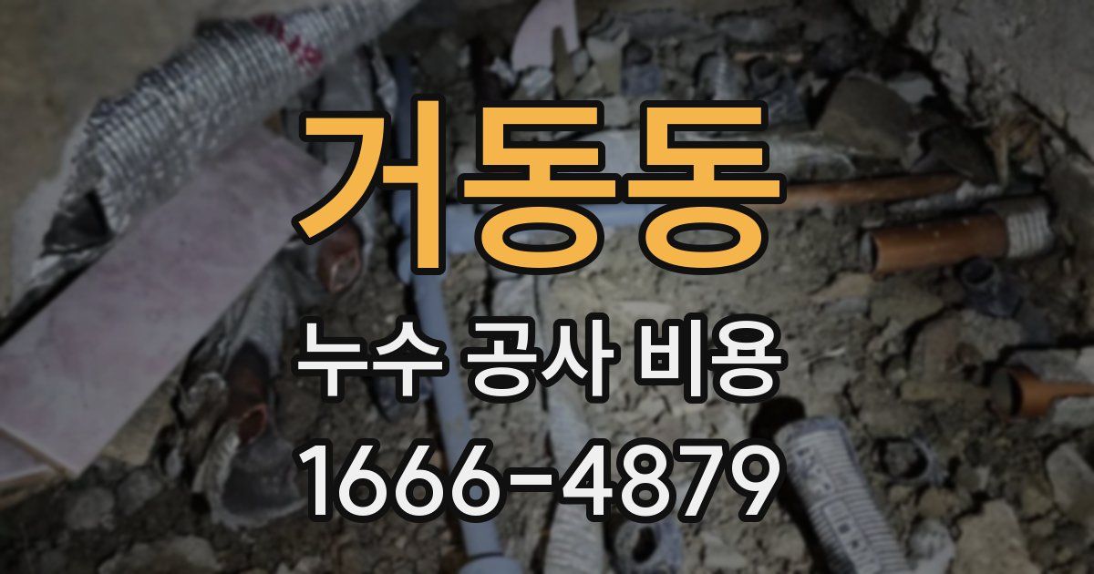 거동동 누수 공사 비용