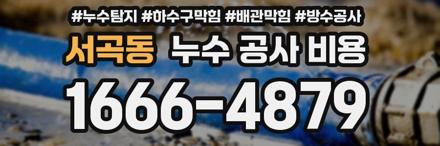 서곡동 누수 공사 비용