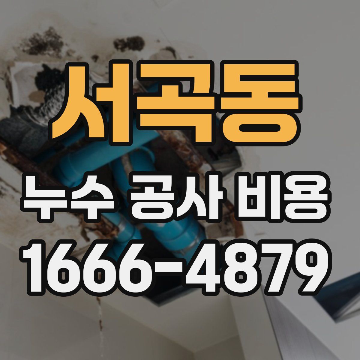 서곡동 누수 공사 비용