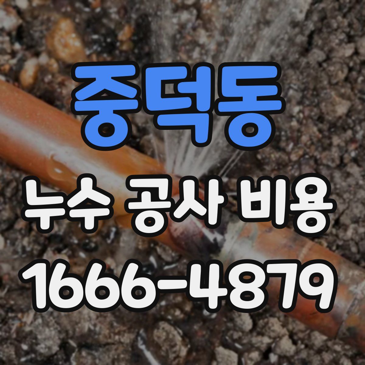 중덕동 누수 공사 비용