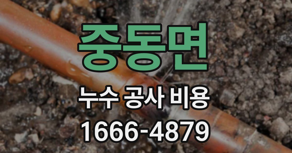 중동면 누수 공사 비용
