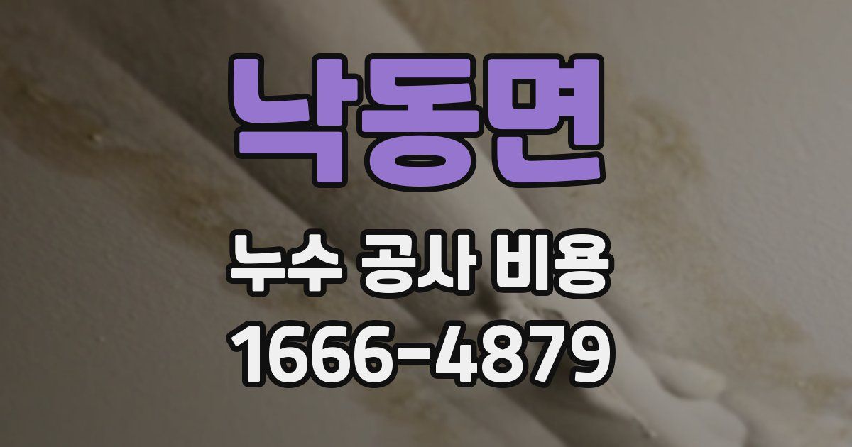 낙동면 누수 공사 비용