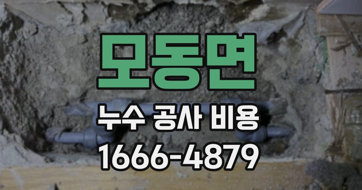 모동면 누수 공사 비용