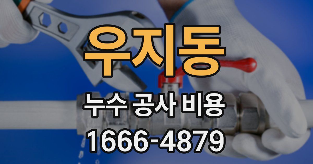 우지동 누수 공사 비용