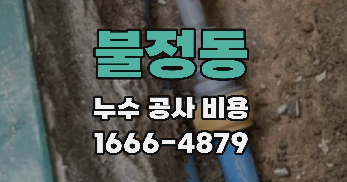 불정동 누수 공사 비용