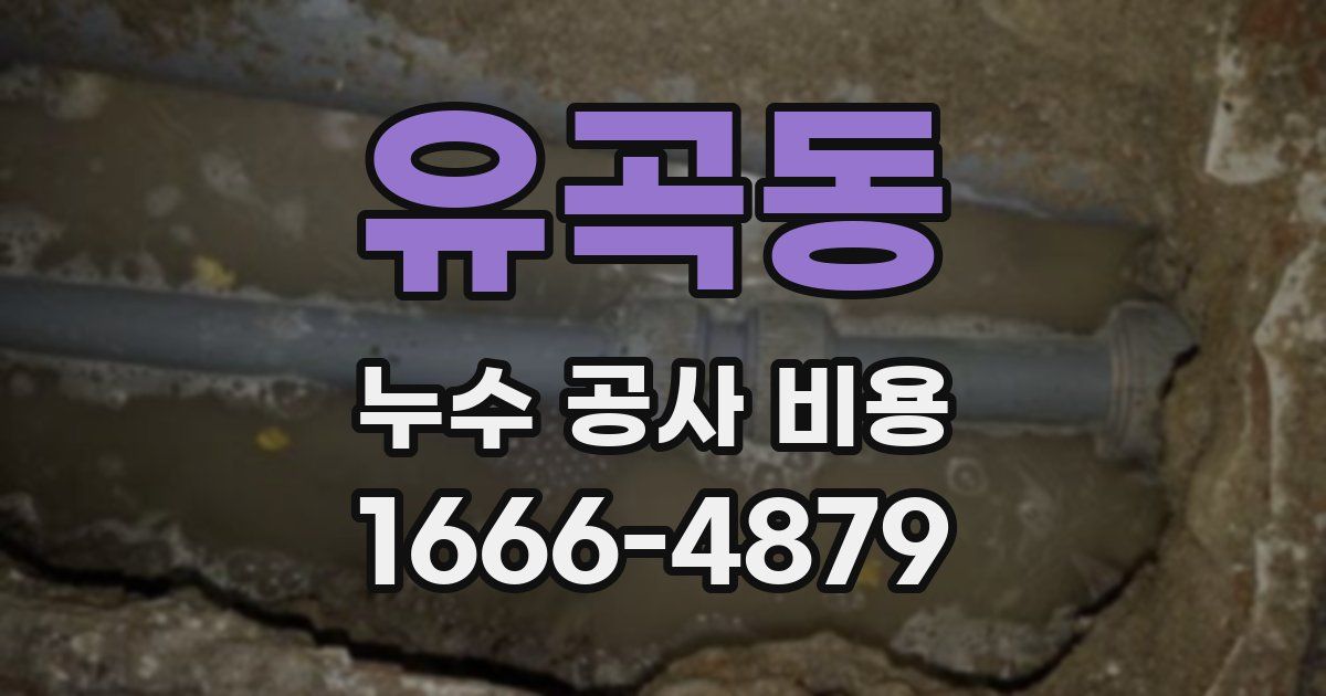 유곡동 누수 공사 비용
