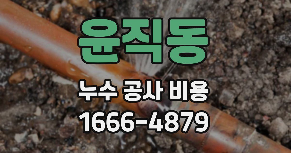 윤직동 누수 공사 비용
