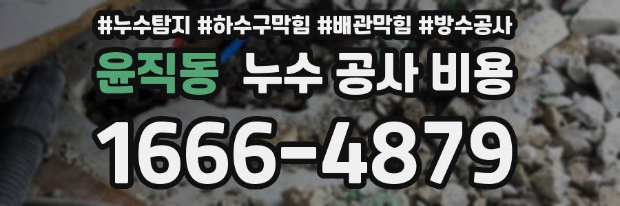 윤직동 누수 공사 비용