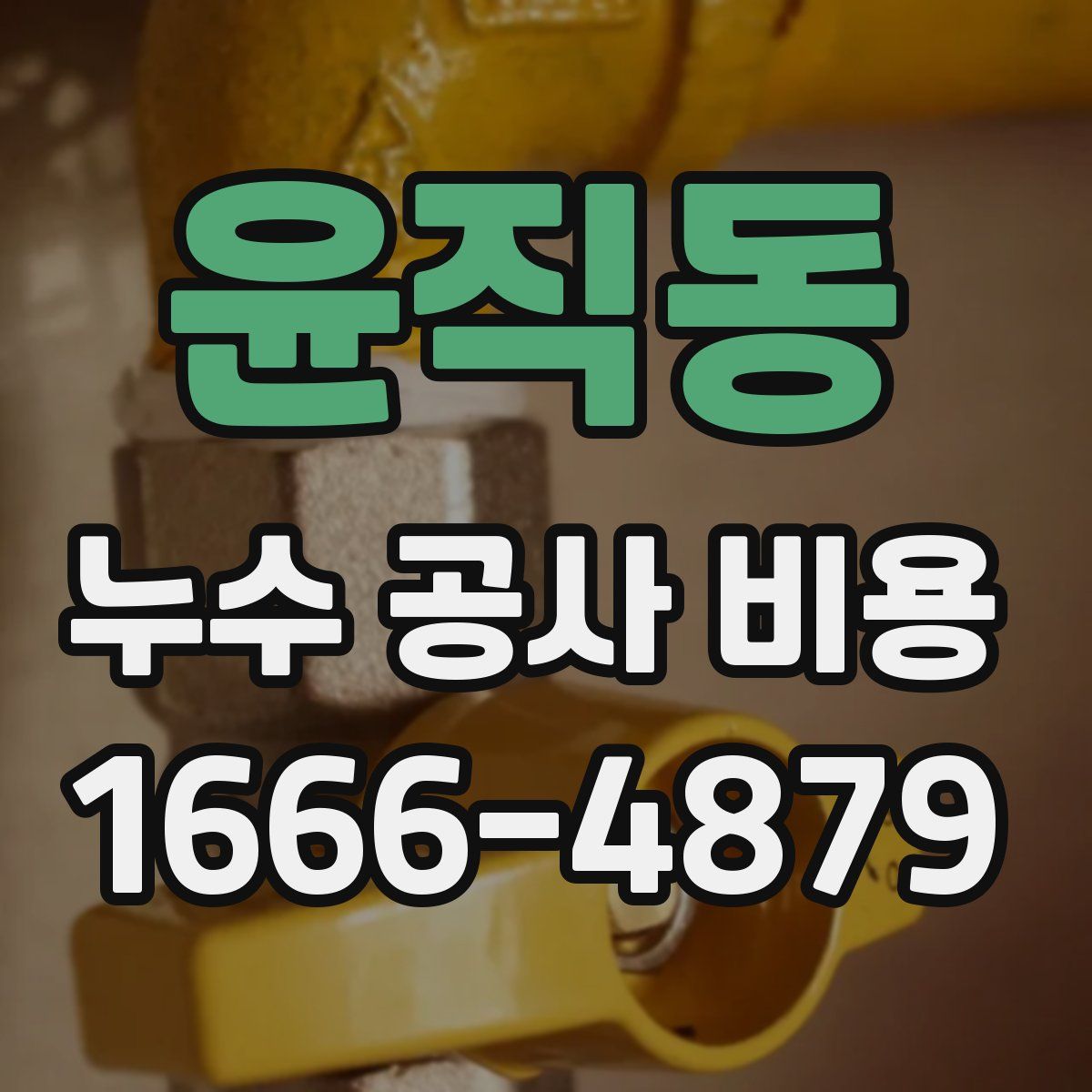 윤직동 누수 공사 비용