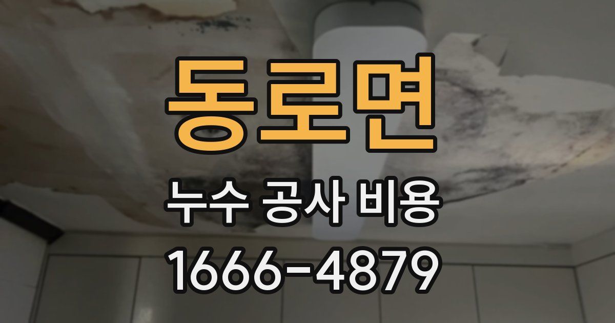 동로면 누수 공사 비용