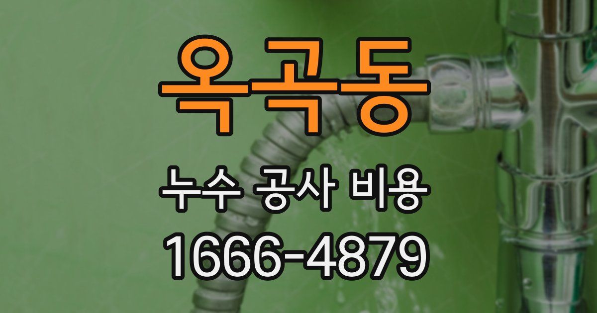옥곡동 누수 공사 비용