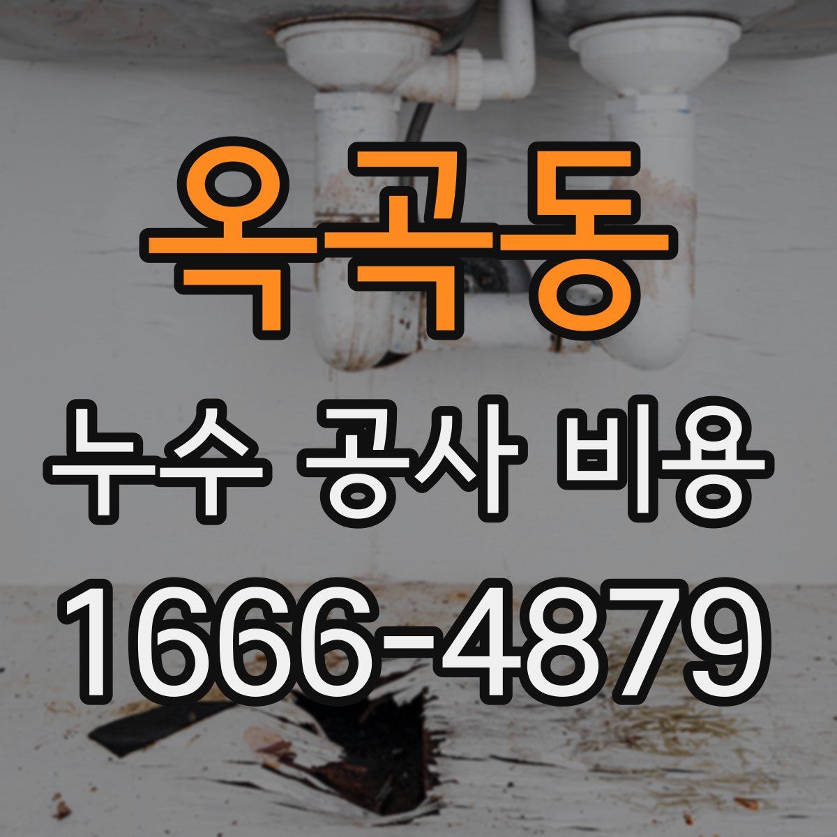 옥곡동 누수 공사 비용