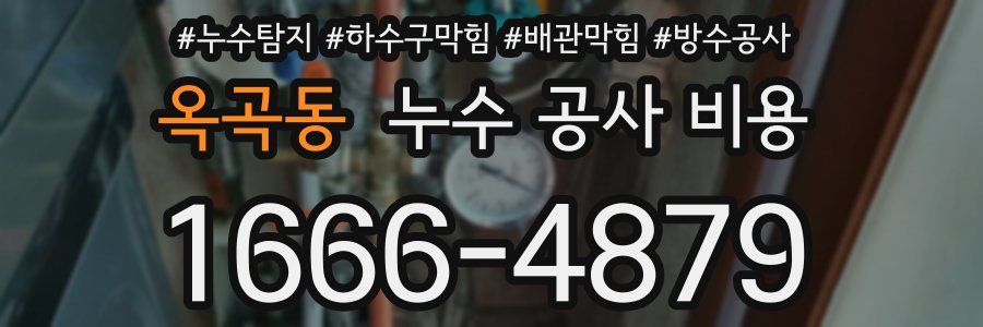 옥곡동 누수 공사 비용